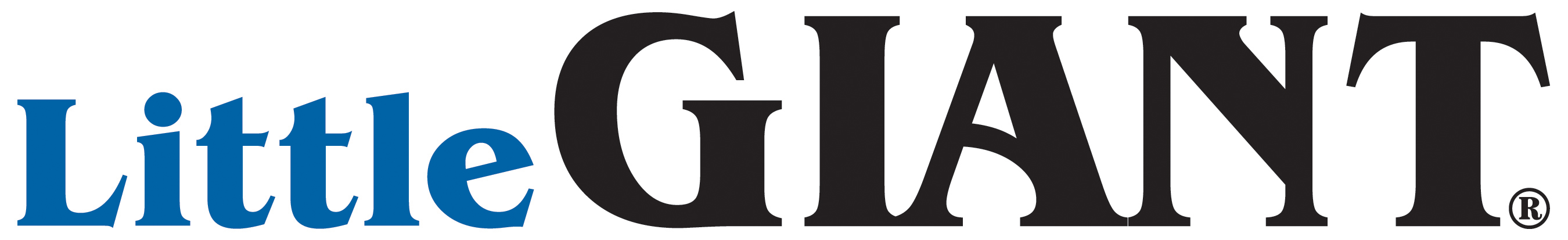 LittleGiant logo
